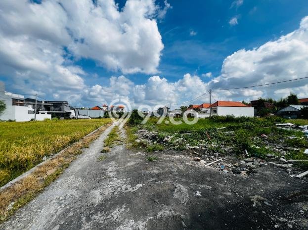 Tanah Disewa di Kerobokan Strategis dan Memiliki Luas 2000m2 Tanah Disewa di Kerobokan Strategis dan Memiliki Luas 2000m2