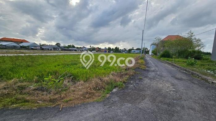 Tanah Disewa di Kerobokan Strategis dan Memiliki Luas 2000m2 Tanah Disewa di Kerobokan Strategis dan Memiliki Luas 2000m2