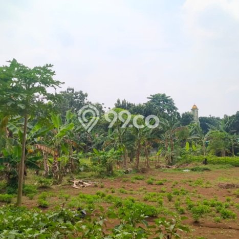 Tanah Kavling untuk Dijual di BSD Tangerang Selatan 8000m2 Tanah Kavling untuk Dijual di BSD Tangerang Selatan 8000m2