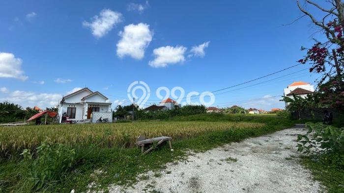 Lahan Strategis di Tabanan Dijual dengan Luas 100m2 Lahan Strategis di Tabanan Dijual dengan Luas 100m2