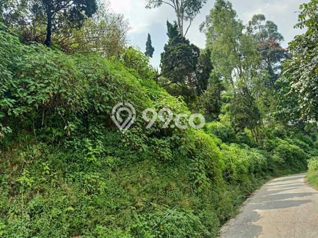 Tanah Dijual Lokasi Cisarua, Bandung Barat dengan Luas Tanah 3000m2 dan Status SHM Tanah Dijual Lokasi Cisarua, Bandung Barat dengan Luas Tanah 3000m2 dan Status SHM