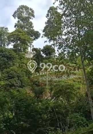 Tanah Dijual Lokasi Cisarua, Bandung Barat dengan Luas Tanah 3000m2 dan Status SHM Tanah Dijual Lokasi Cisarua, Bandung Barat dengan Luas Tanah 3000m2 dan Status SHM