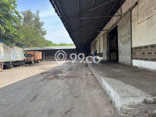 Gudang Bagus Dijual LB 10000m2 Lokasi Strategis Jakarta Utara Area Cocok untuk Berbisnis Gudang Bagus Dijual LB 10000m2 Lokasi Strategis Jakarta Utara Area Cocok untuk Berbisnis