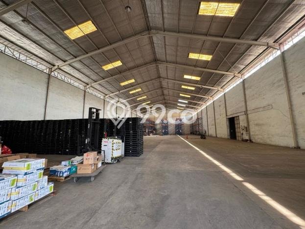 Gudang Bagus Dijual LB 10000m2 Lokasi Strategis Jakarta Utara Area Cocok untuk Berbisnis Gudang Bagus Dijual LB 10000m2 Lokasi Strategis Jakarta Utara Area Cocok untuk Berbisnis