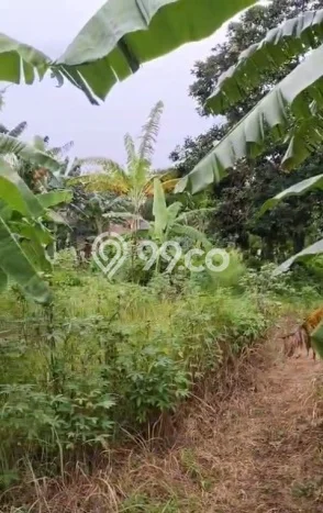 Lahan Investasi Lokasi Mustikajaya Bekasi SHM Lahan Investasi Lokasi Mustikajaya Bekasi SHM