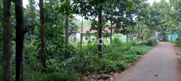 Untuk Dijual Tanah di Setu Bekasi Luas 981m2 SHM Untuk Dijual Tanah di Setu Bekasi Luas 981m2 SHM