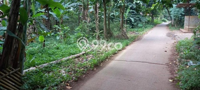 Untuk Dijual Tanah di Setu Bekasi Luas 981m2 SHM Untuk Dijual Tanah di Setu Bekasi Luas 981m2 SHM