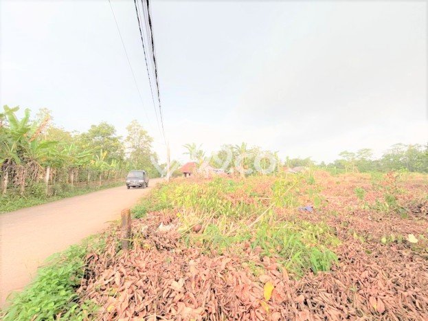 Tanah Dijual Lokasi Cisauk, Tangerang dengan Luas Tanah 150m2 dan Status SHM Tanah Dijual Lokasi Cisauk, Tangerang dengan Luas Tanah 150m2 dan Status SHM