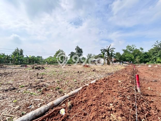 Tanah Kavling di Cisauk Dijual dengan Luas 104m2 Tanah Kavling di Cisauk Dijual dengan Luas 104m2