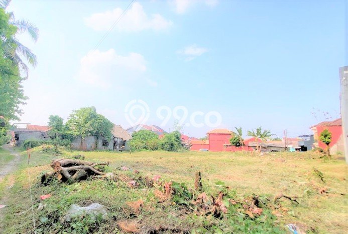 Tanah Kavling untuk Dijual di Ciomas Bogor 100m2 Tanah Kavling untuk Dijual di Ciomas Bogor 100m2