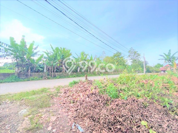 Tanah untuk Dijual Lokasi Cisauk, Tangerang Luas 102m2 SHM Tanah untuk Dijual Lokasi Cisauk, Tangerang Luas 102m2 SHM
