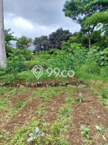 Tanah Dijual Area Strategis di Puncak Bogor 10200m2 Tanah Dijual Area Strategis di Puncak Bogor 10200m2
