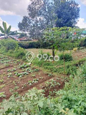 Tanah Dijual Area Strategis di Puncak Bogor 10200m2 Tanah Dijual Area Strategis di Puncak Bogor 10200m2