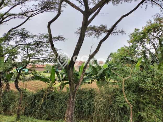 Tanah di Baleendah, Bandung Luas 1040m2 Dijual Segera Tanah di Baleendah, Bandung Luas 1040m2 Dijual Segera