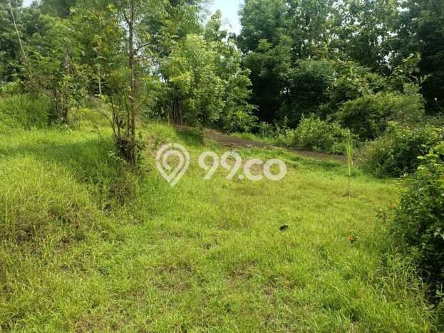 Lahan Kosong Dijual di Buleleng, Buleleng, Luas 100m2 Area Strategis Lahan Kosong Dijual di Buleleng, Buleleng, Luas 100m2 Area Strategis