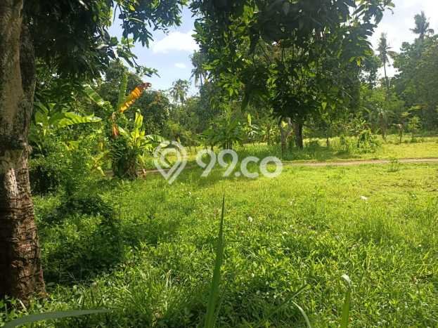 Lahan Kosong Dijual di Buleleng, Buleleng, Luas 100m2 Area Strategis Lahan Kosong Dijual di Buleleng, Buleleng, Luas 100m2 Area Strategis