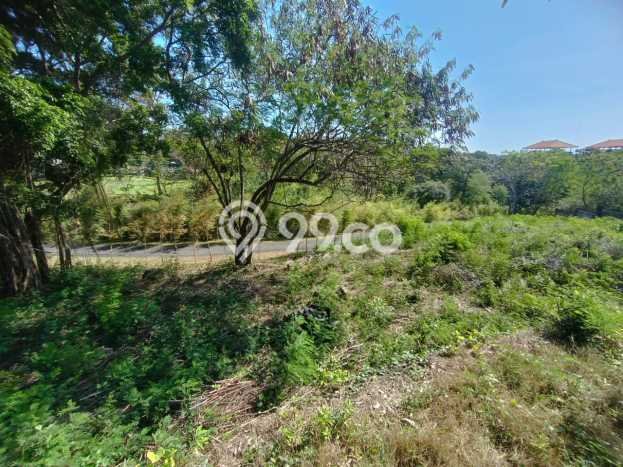 Tanah Area Berkembang di Pecatu, Luas 1770m², Akses ke Fasilitas Tanah Area Berkembang di Pecatu, Luas 1770m², Akses ke Fasilitas