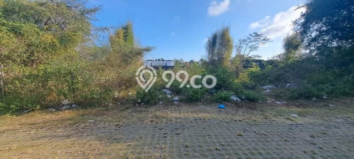 Tanah Investasi Dijual di Badung Punya Luas 508m2 Tanah Investasi Dijual di Badung Punya Luas 508m2