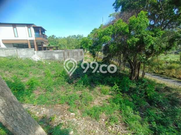 Tanah Area Berkembang di Pecatu, Luas 1770m², Akses ke Fasilitas Tanah Area Berkembang di Pecatu, Luas 1770m², Akses ke Fasilitas
