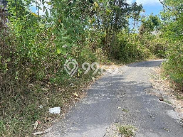 Tanah Lokasi Potensial Kawasan Kutuh, Luas 2000m², Dekat ke Fasilitas Umum, Dekat Kutuh, Badung, Badung Tanah Lokasi Potensial Kawasan Kutuh, Luas 2000m², Dekat ke Fasilitas Umum, Dekat Kutuh, Badung, Badung