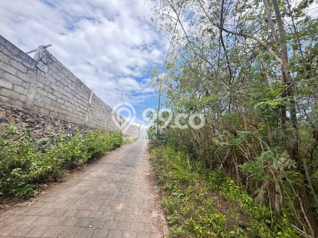 Tanah Kawasan , Luas 3000m2m², Tersedia untuk Rental Tanah Kawasan , Luas 3000m2m², Tersedia untuk Rental
