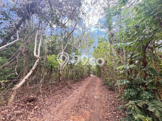 Tanah Kawasan , Luas 3000m2m², Tersedia untuk Rental Tanah Kawasan , Luas 3000m2m², Tersedia untuk Rental