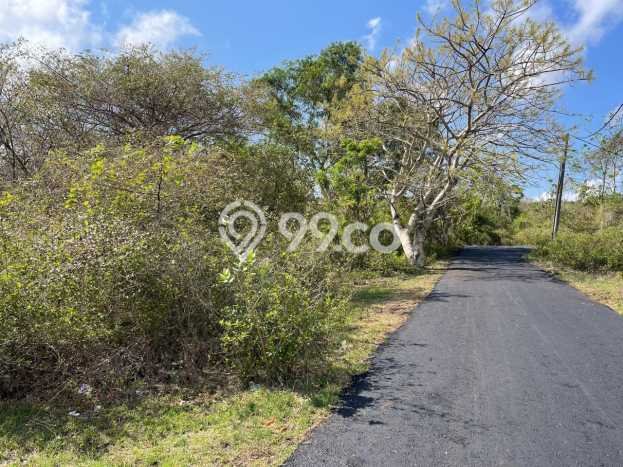 Kavling Tanah untuk Dijual di Jimbaran, Badung, Luas 2950m2 Kavling Tanah untuk Dijual di Jimbaran, Badung, Luas 2950m2