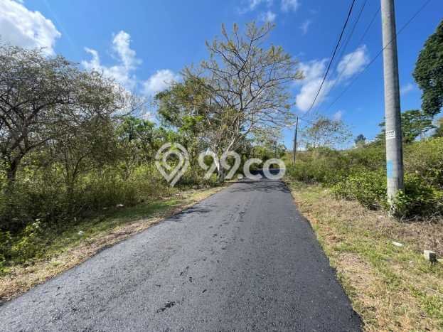 Kavling Tanah untuk Dijual di Jimbaran, Badung, Luas 2950m2 Kavling Tanah untuk Dijual di Jimbaran, Badung, Luas 2950m2