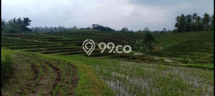 Tanah Dijual Lokasi Penebel, Tabanan dengan Luas Tanah 8720m2 dan Status SHM Tanah Dijual Lokasi Penebel, Tabanan dengan Luas Tanah 8720m2 dan Status SHM