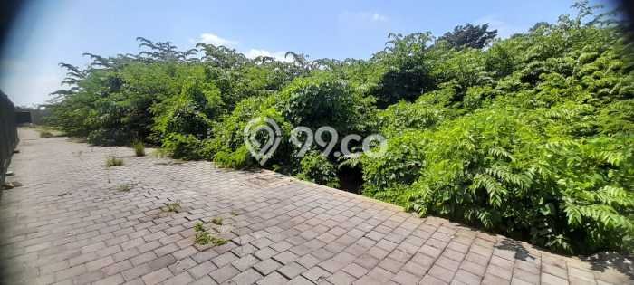 Tanah Dijual Area Strategis di Canggu Badung 332m2 Tanah Dijual Area Strategis di Canggu Badung 332m2