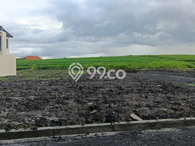Tanah di Tabanan, Tabanan Luas 100m2 Dijual Segera Tanah di Tabanan, Tabanan Luas 100m2 Dijual Segera
