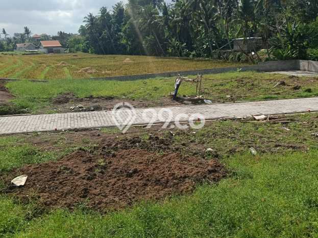 Tanah di Tabanan, Tabanan Luas 100m2 Dijual Segera Tanah di Tabanan, Tabanan Luas 100m2 Dijual Segera