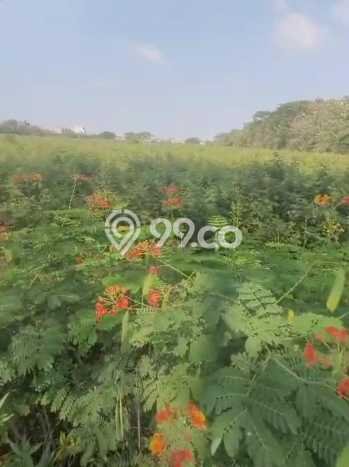 Tanah Kavling Dijual di Bekasi dengan Spesifikasi 35000m2 Tanah Kavling Dijual di Bekasi dengan Spesifikasi 35000m2