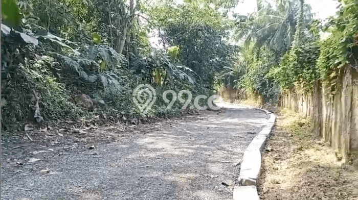 Tanah untuk Dijual Lokasi Ciseeng, Bogor Luas 15934m2 SHM Tanah untuk Dijual Lokasi Ciseeng, Bogor Luas 15934m2 SHM
