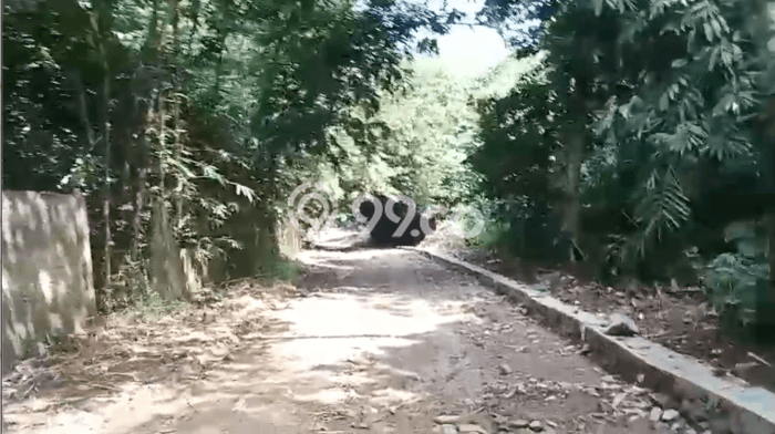 Tanah untuk Dijual Lokasi Ciseeng, Bogor Luas 15934m2 SHM Tanah untuk Dijual Lokasi Ciseeng, Bogor Luas 15934m2 SHM