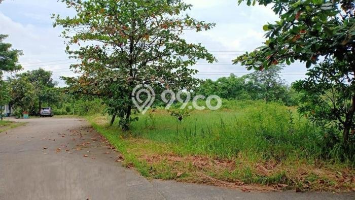 Tanah untuk Dijual Lokasi Cikupa, Tangerang Luas 26350m2 SHM Tanah untuk Dijual Lokasi Cikupa, Tangerang Luas 26350m2 SHM
