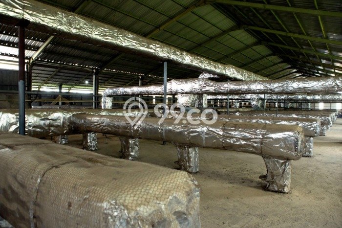 Gudang For Sale di Kawasan Ciwaringin, Cirebon Harga Kompetitif Gudang For Sale di Kawasan Ciwaringin, Cirebon Harga Kompetitif