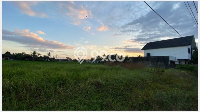 LOKASI STRATEGIS! Tanah di Kedungu, Luas 300m², Lokasi Berkembang, Cocok untuk Hunian LOKASI STRATEGIS! Tanah di Kedungu, Luas 300m², Lokasi Berkembang, Cocok untuk Hunian