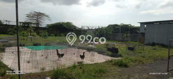Gudang Dijual Lokasi Stratagis di Cerme Gresik Cocok untuk Bisnis Gudang Dijual Lokasi Stratagis di Cerme Gresik Cocok untuk Bisnis
