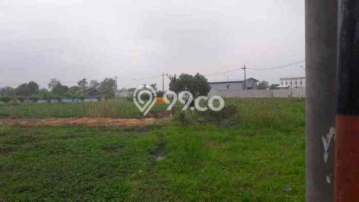Tanah Kavling Dijual di Surabaya dengan Spesifikasi 4033m2 Tanah Kavling Dijual di Surabaya dengan Spesifikasi 4033m2