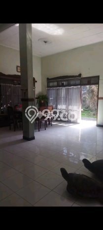 For Sale Rumah Mewah Exclusive di Gayungan, Surabaya For Sale Rumah Mewah Exclusive di Gayungan, Surabaya