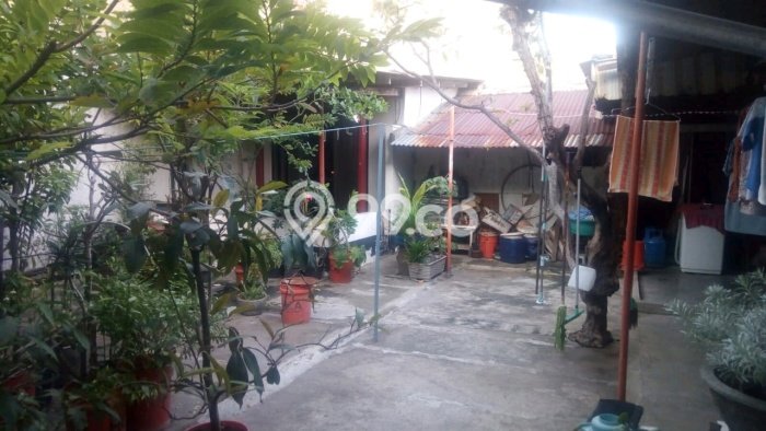 Dijual Hunian Rumah Nyaman 4 Kamar di Petemon, Surabaya Dijual Hunian Rumah Nyaman 4 Kamar di Petemon, Surabaya