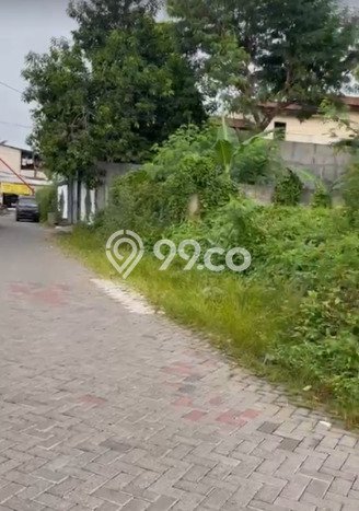 Kavling Tanah di Sambikerep Dijual Luas 283m2 Legalitas SHM Kavling Tanah di Sambikerep Dijual Luas 283m2 Legalitas SHM