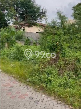 Kavling Tanah di Sambikerep Dijual Luas 283m2 Legalitas SHM Kavling Tanah di Sambikerep Dijual Luas 283m2 Legalitas SHM
