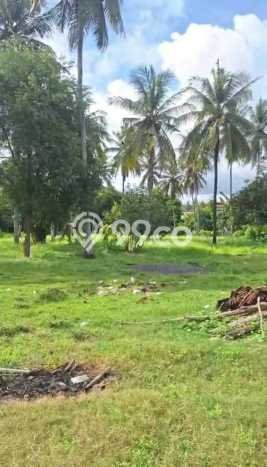 Tanah Dijual Lokasi Pujut, Lombok Tengah Luas 2000m2 Legalitas Aman Tanah Dijual Lokasi Pujut, Lombok Tengah Luas 2000m2 Legalitas Aman