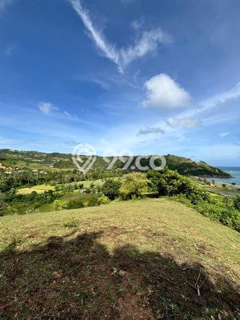 Tanah Komersial Dijual di Pujut Lombok Tengah 10000m2 Tanah Komersial Dijual di Pujut Lombok Tengah 10000m2
