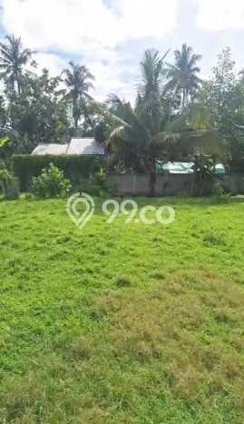 Tanah Dijual Lokasi Pujut, Lombok Tengah Luas 2000m2 Legalitas Aman Tanah Dijual Lokasi Pujut, Lombok Tengah Luas 2000m2 Legalitas Aman