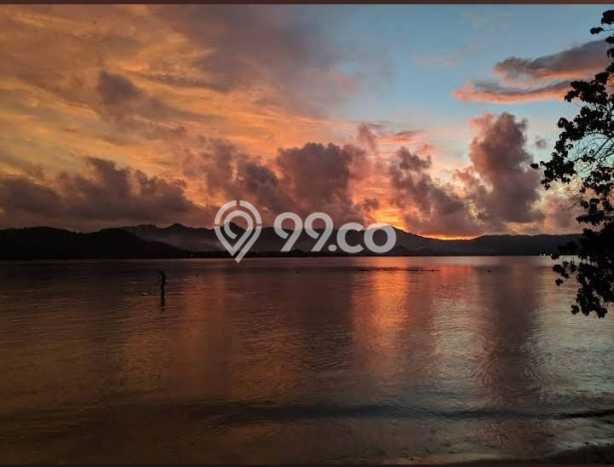 Tanah Kavling untuk Dijual di Sekotong Lombok Barat 3000m2 Tanah Kavling untuk Dijual di Sekotong Lombok Barat 3000m2