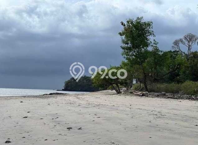 Tanah Kavling untuk Dijual di Sekotong Lombok Barat 3000m2 Tanah Kavling untuk Dijual di Sekotong Lombok Barat 3000m2