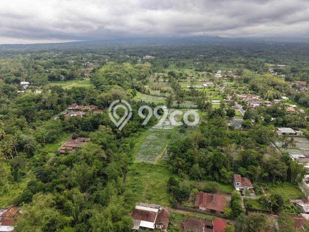 Lahan Investasi Lokasi Sleman Sleman SHM Lahan Investasi Lokasi Sleman Sleman SHM